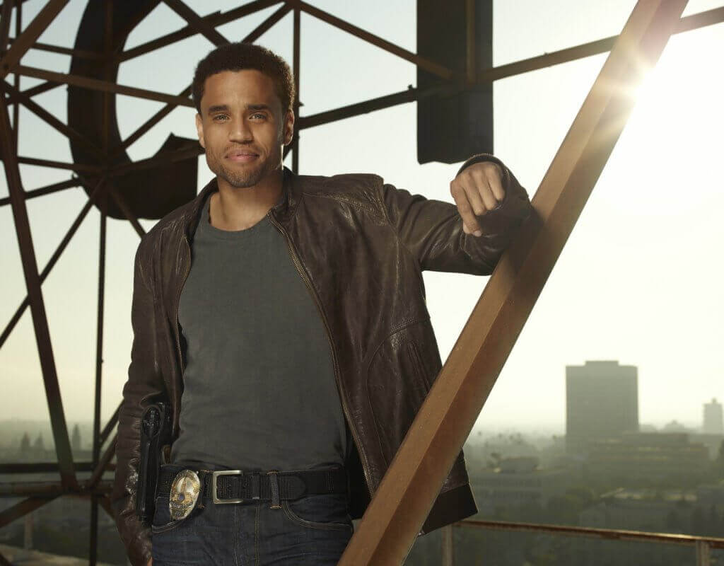 Michael Ealy COMMON LAW 2012